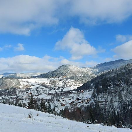 Tarska Carolija Zaovine Villa Popovici ภายนอก รูปภาพ
