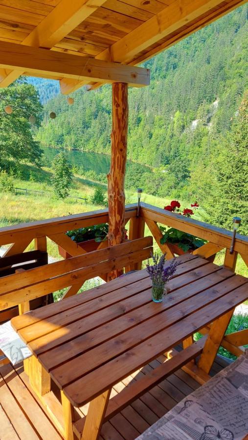 Tarska Carolija Zaovine Villa Popovici ภายนอก รูปภาพ