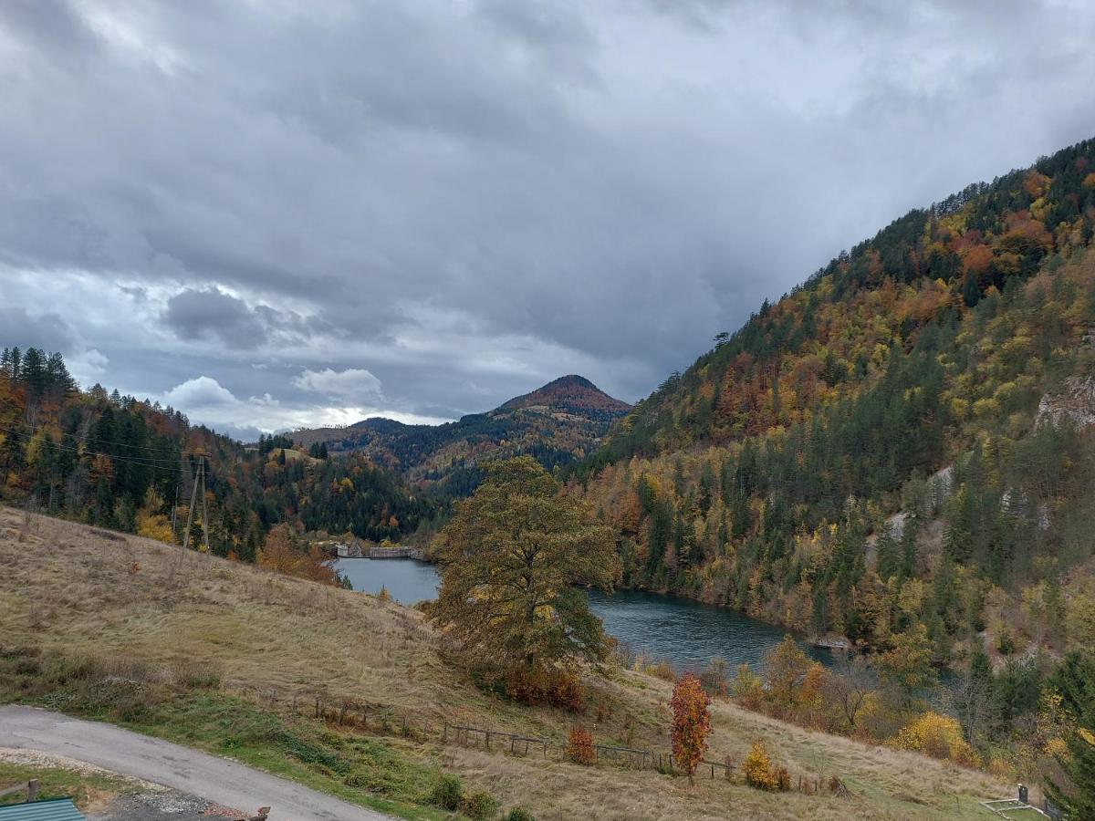 Tarska Carolija Zaovine Villa Popovici ภายนอก รูปภาพ