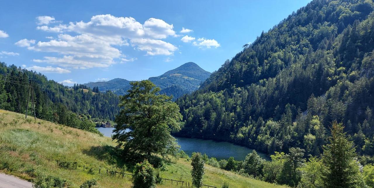 Tarska Carolija Zaovine Villa Popovici ภายนอก รูปภาพ