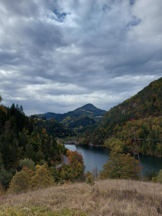 Tarska Carolija Zaovine Villa Popovici ภายนอก รูปภาพ