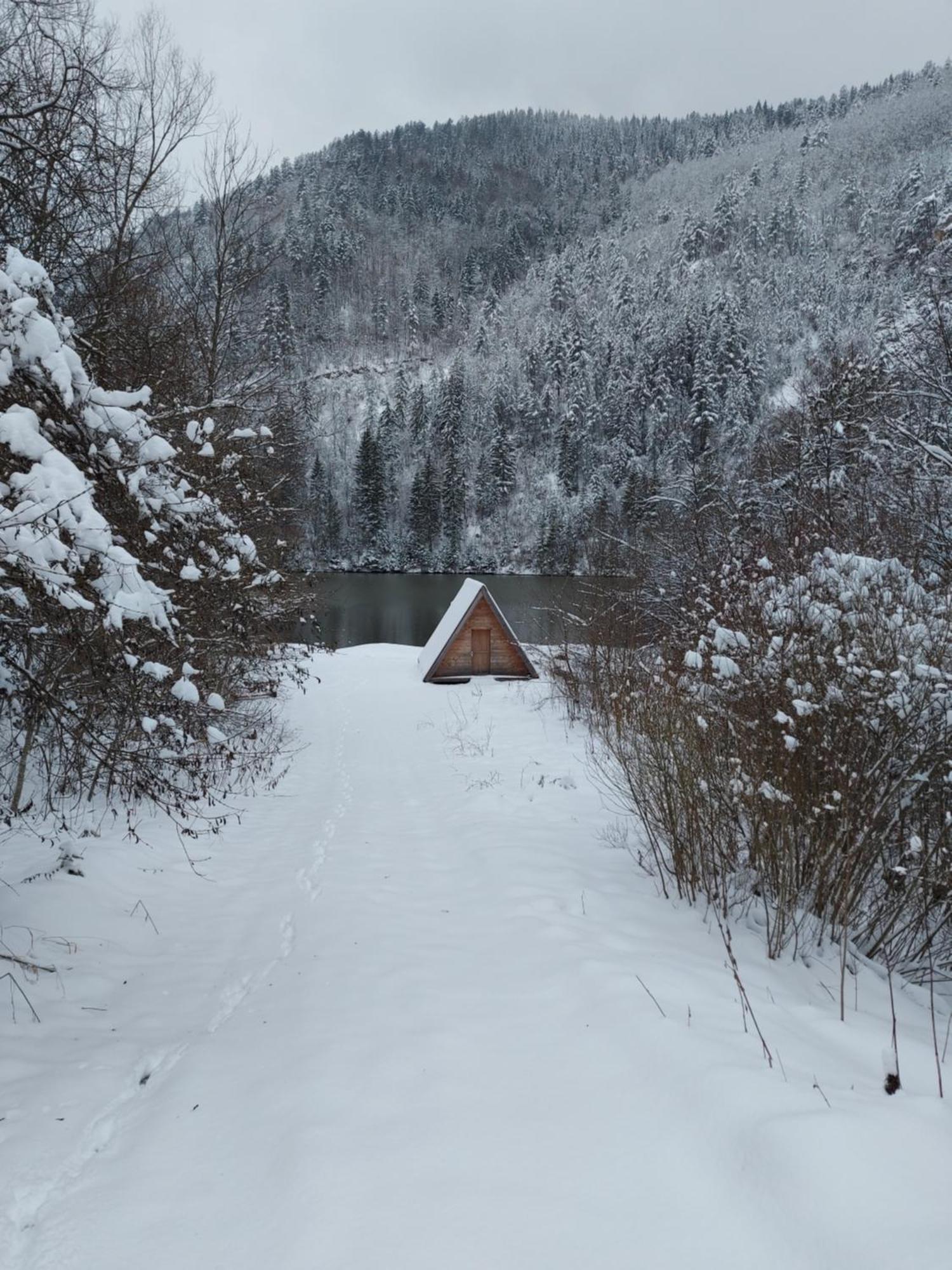Tarska Carolija Zaovine Villa Popovici ภายนอก รูปภาพ