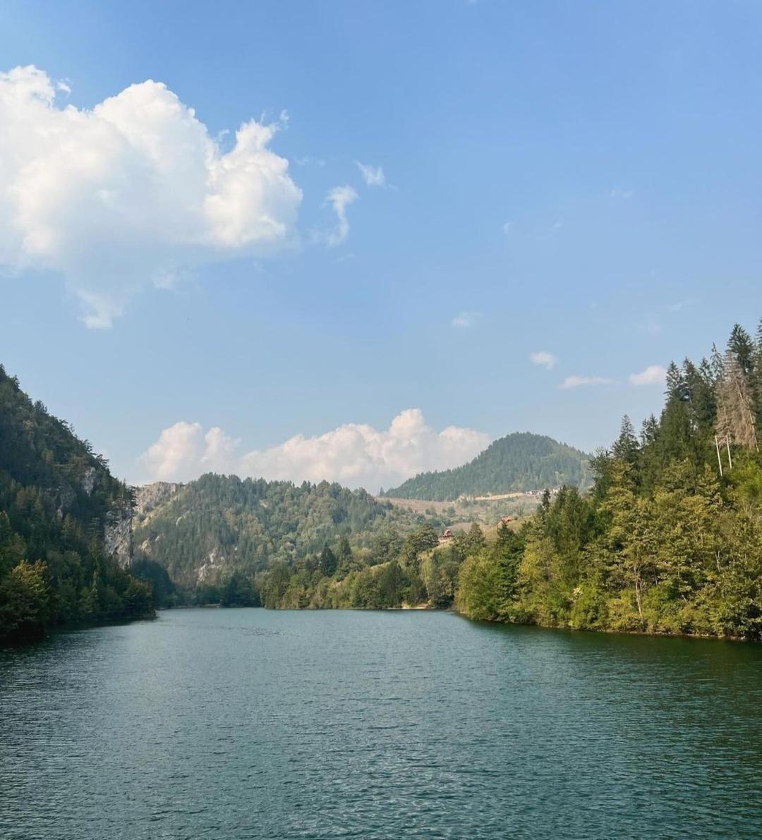 Tarska Carolija Zaovine Villa Popovici ภายนอก รูปภาพ